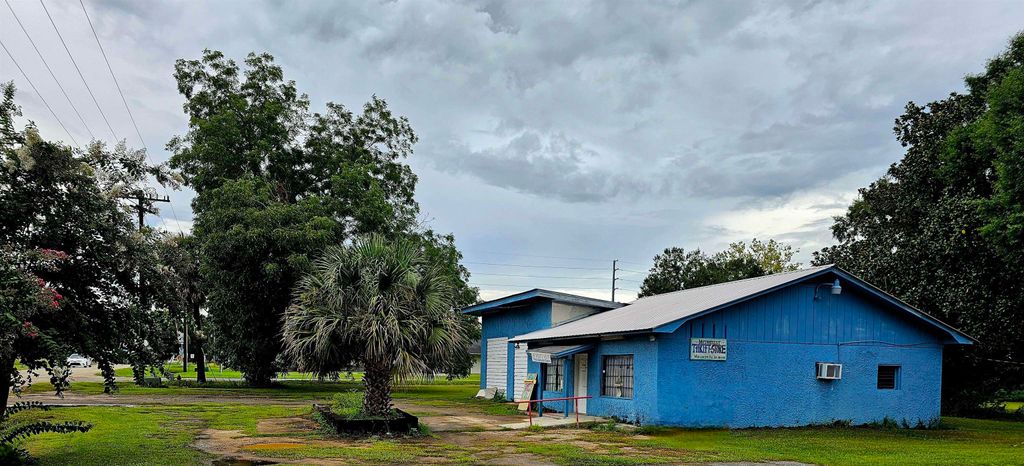 Photo of 10 Green Avenue, Greensboro, FL 32330 (MLS # 389525)