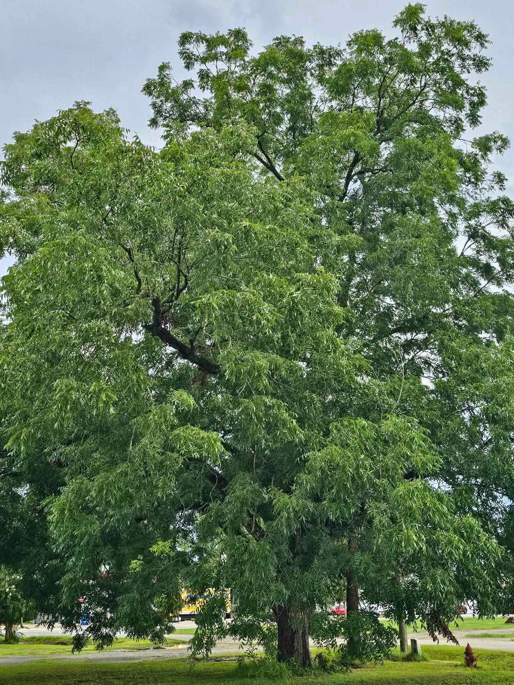 Photo of 10 Green Avenue, Greensboro, FL 32330 (MLS # 389525)