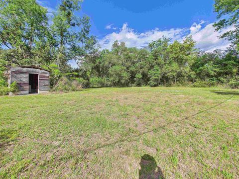 Tiny photo for 2744 Foley Cutoff Road, Perry, FL 32348 (MLS # 399060)