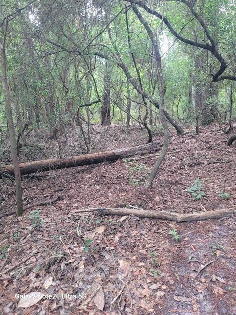 Tiny photo for 0 Smith Creek Road, Tallahassee, FL 32310 (MLS # 397716)