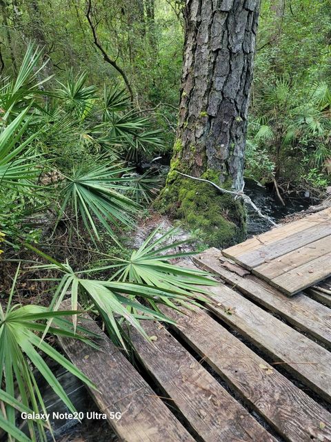 Tiny photo for 0 Smith Creek Road, Tallahassee, FL 32310 (MLS # 397716)