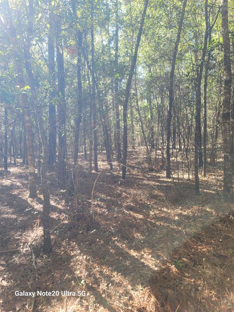 Tiny photo for 0 Smith Creek Road, Tallahassee, FL 32310 (MLS # 397716)