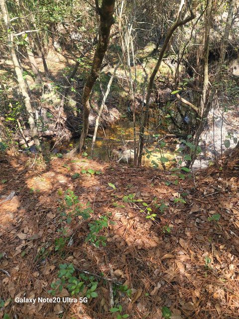 Tiny photo for 0 Smith Creek Road, Tallahassee, FL 32310 (MLS # 397716)