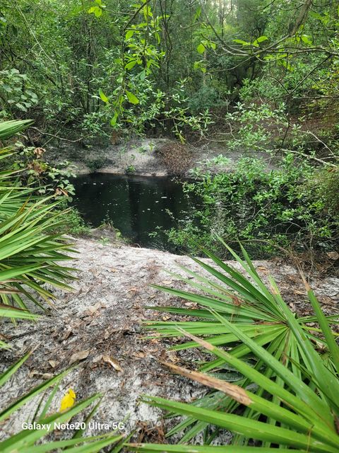 Tiny photo for 0 Smith Creek Road, Tallahassee, FL 32310 (MLS # 397716)