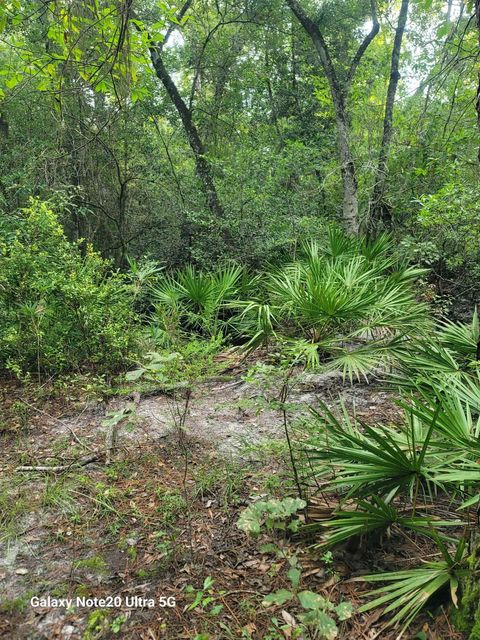 Tiny photo for 0 Smith Creek Road, Tallahassee, FL 32310 (MLS # 397716)