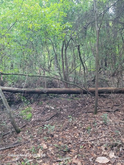 Tiny photo for 0 Smith Creek Road, Tallahassee, FL 32310 (MLS # 397716)