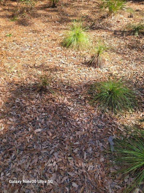 Tiny photo for 0 Smith Creek Road, Tallahassee, FL 32310 (MLS # 397716)