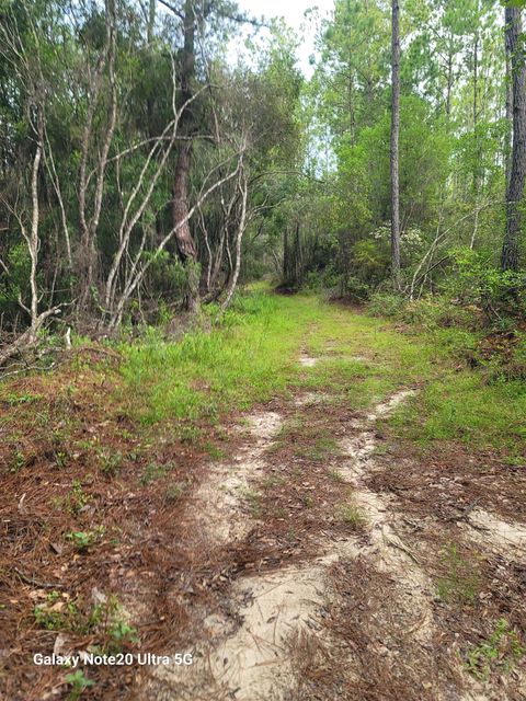 Tiny photo for 0 Smith Creek Road, Tallahassee, FL 32310 (MLS # 397716)
