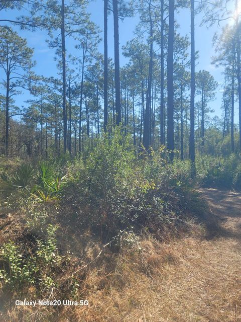 Tiny photo for 0 Smith Creek Road, Tallahassee, FL 32310 (MLS # 397716)