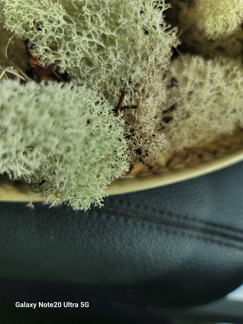 Tiny photo for 0 Smith Creek Road, Tallahassee, FL 32310 (MLS # 397716)