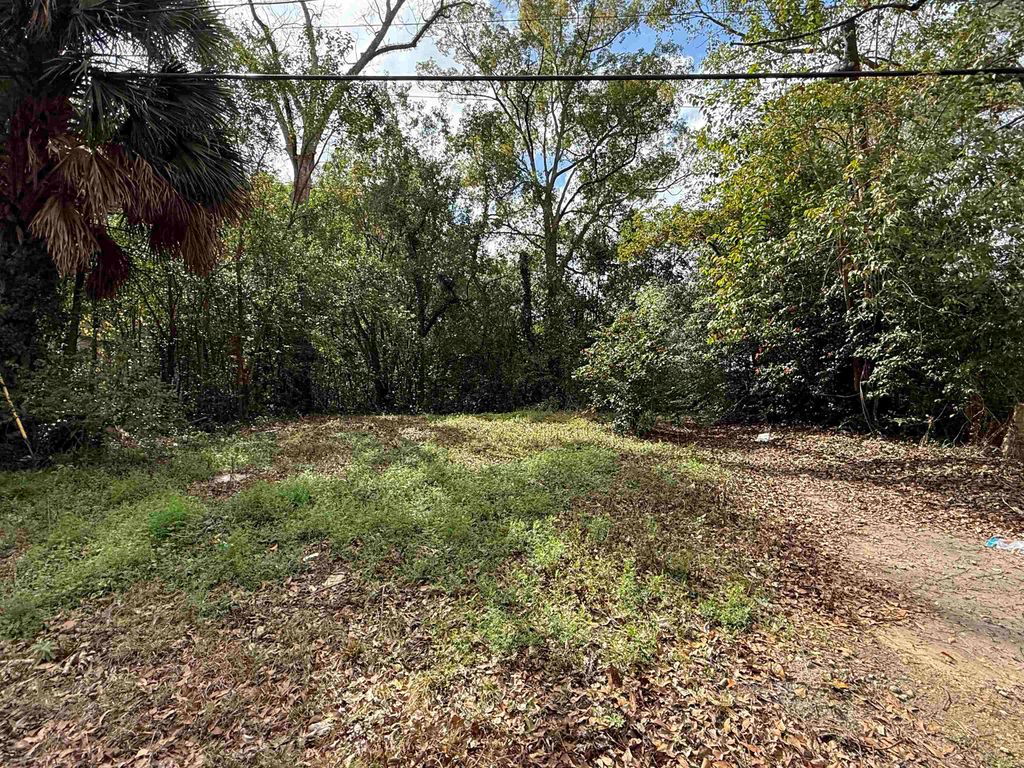 Photo of 625 N Crawford Street, Thomasville, GA 31792 (MLS # 398480)