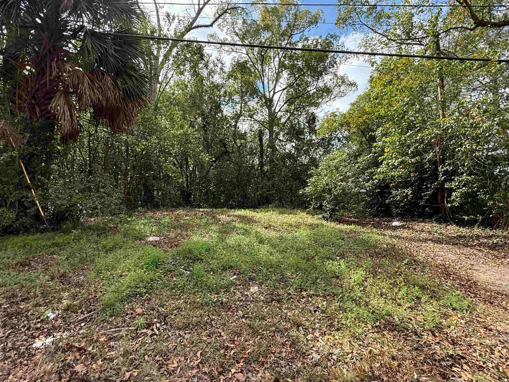 Photo of 625 N Crawford Street, Thomasville, GA 31792 (MLS # 398480)