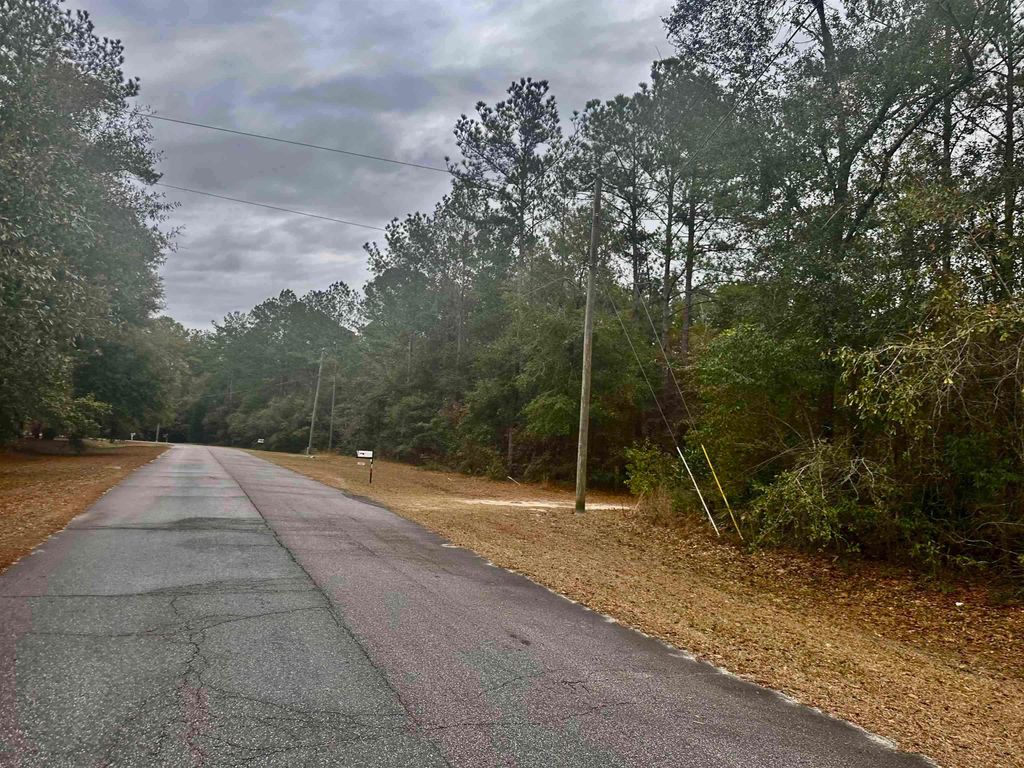 Photo of xx LUTHER HALL Road, Tallahassee, FL 32310 (MLS # 398591)