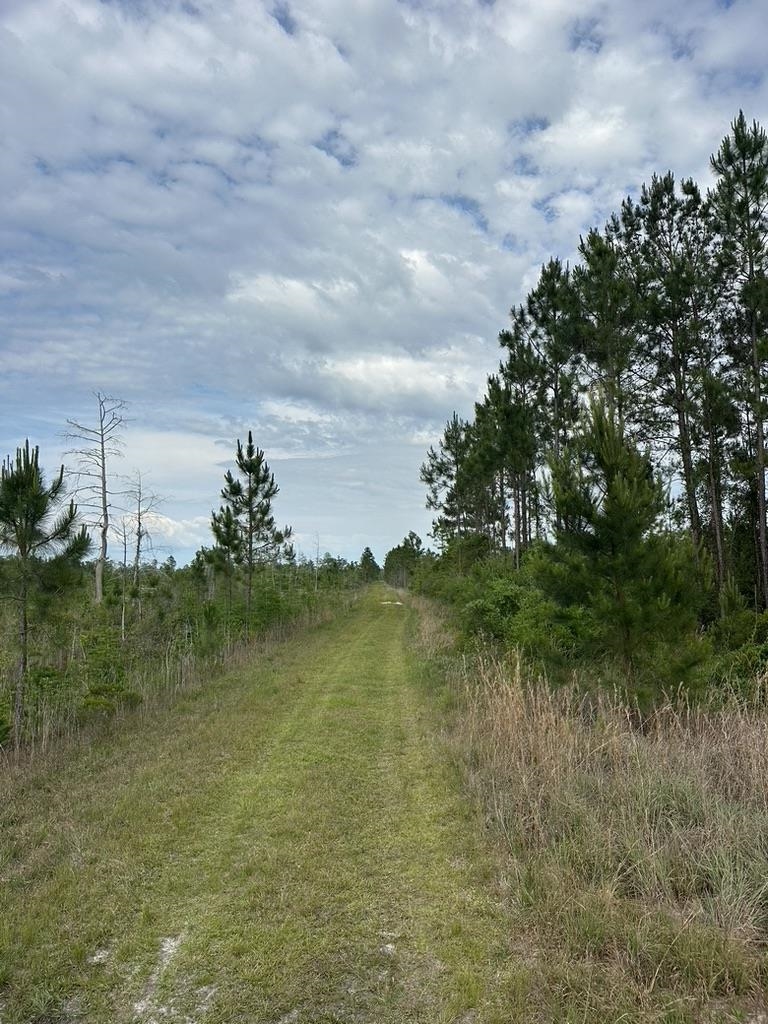 xx Locha Trail