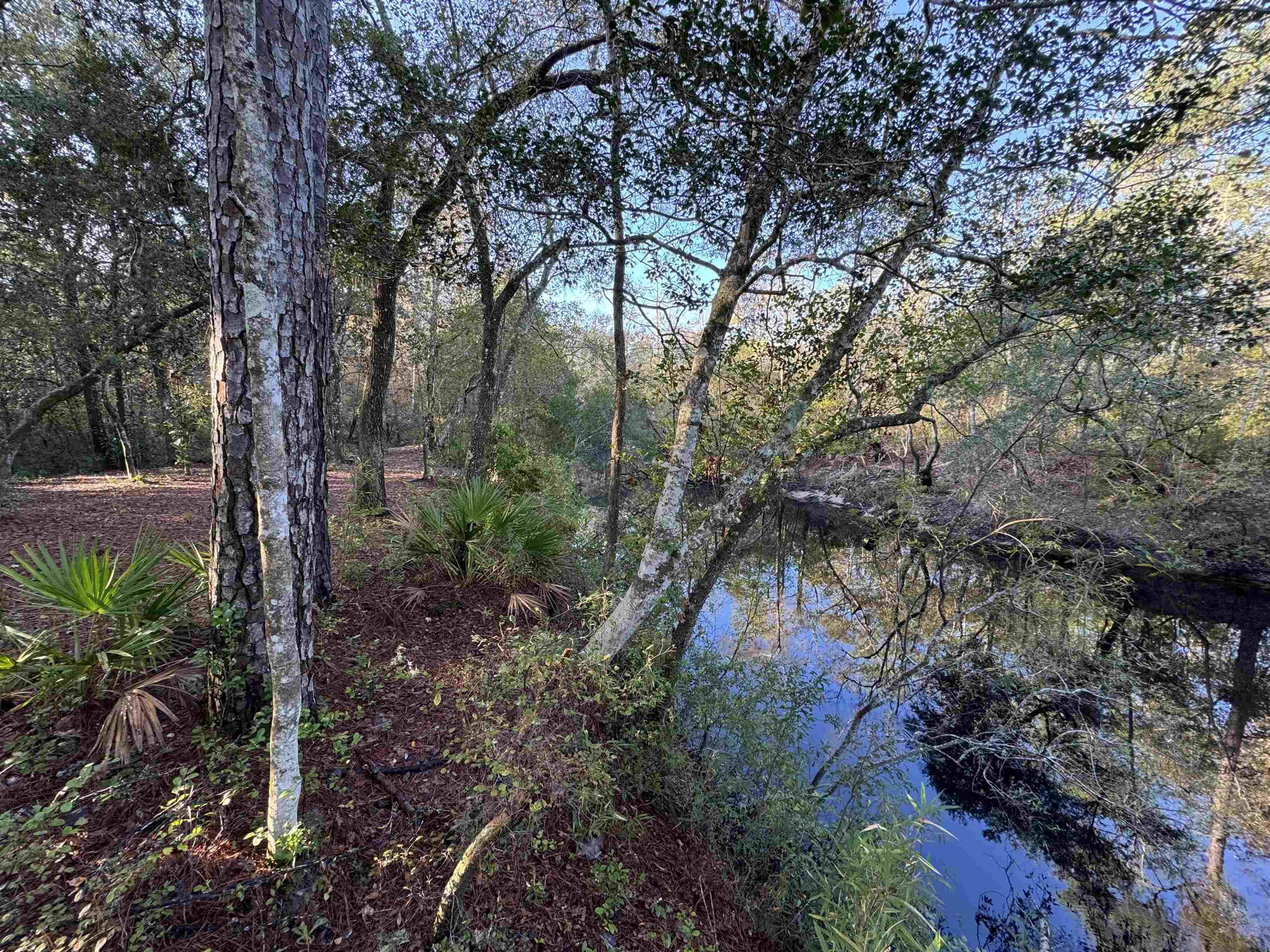Lot 91 Seminole Lane