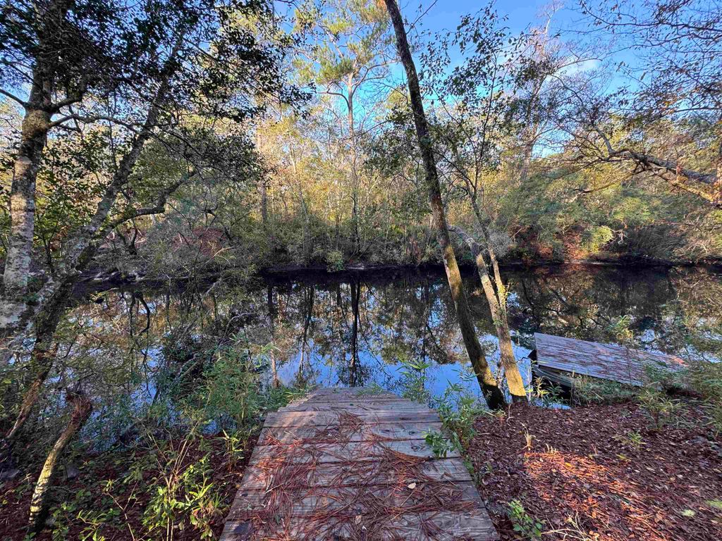 Photo of Lot 91 Seminole Lane, Sopchoppy, FL 32358 (MLS # 394053)