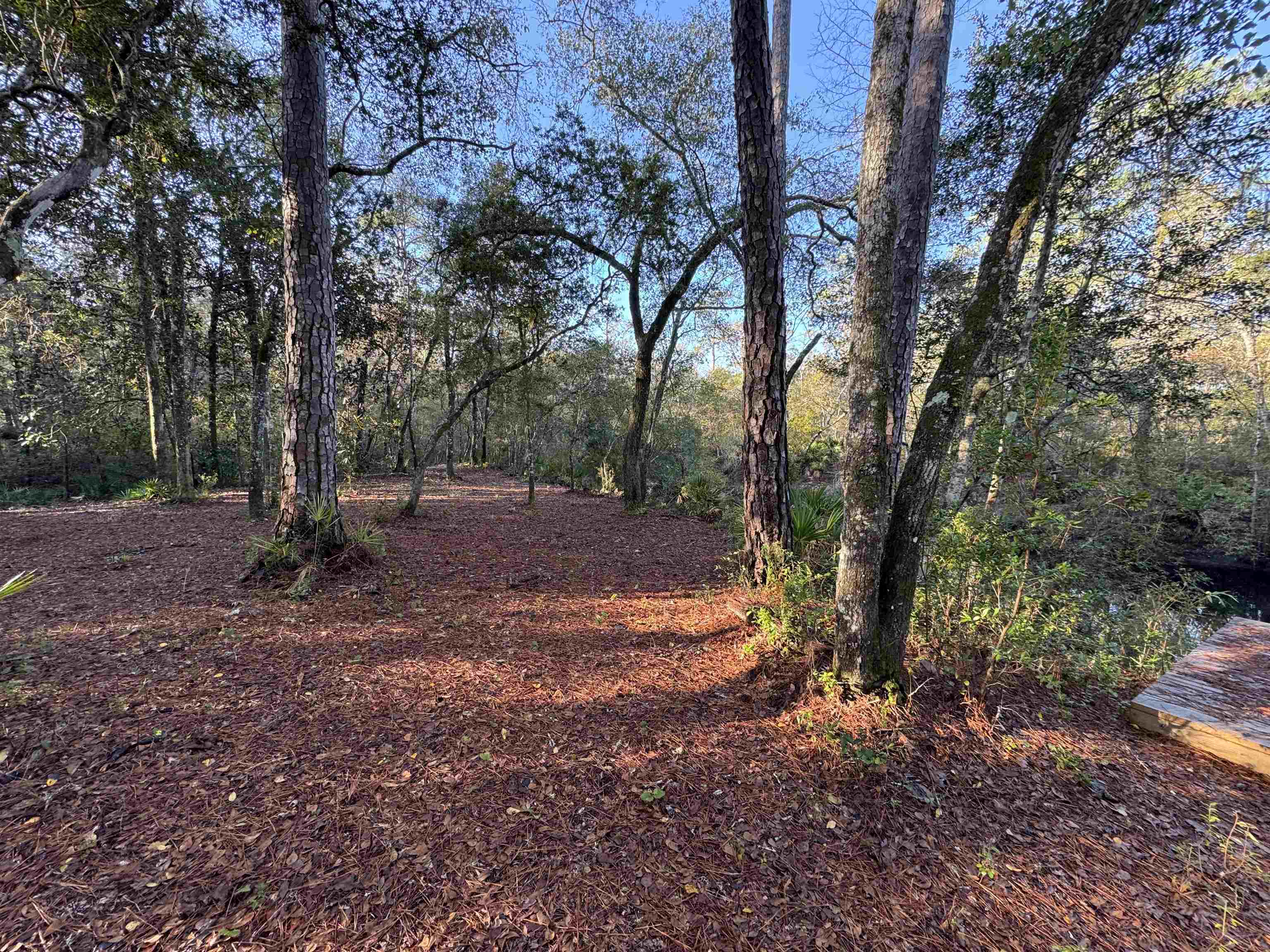 Lot 91 Seminole Lane