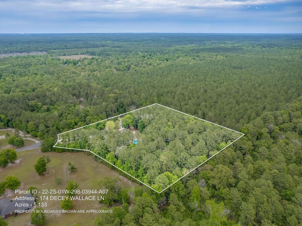 Photo of 174 Decey Wallace Lane, Crawfordville, FL 32327 (MLS # 393712)