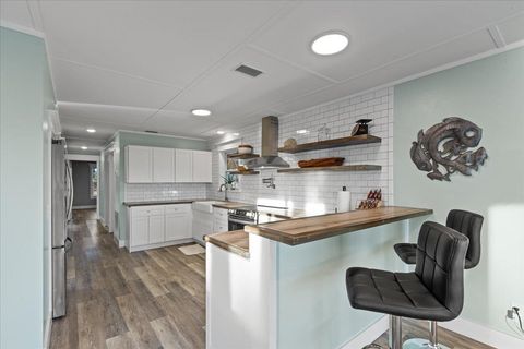 Tiny photo for 201 NW First Avenue, Steinhatchee, FL 32359 (MLS # 395345)