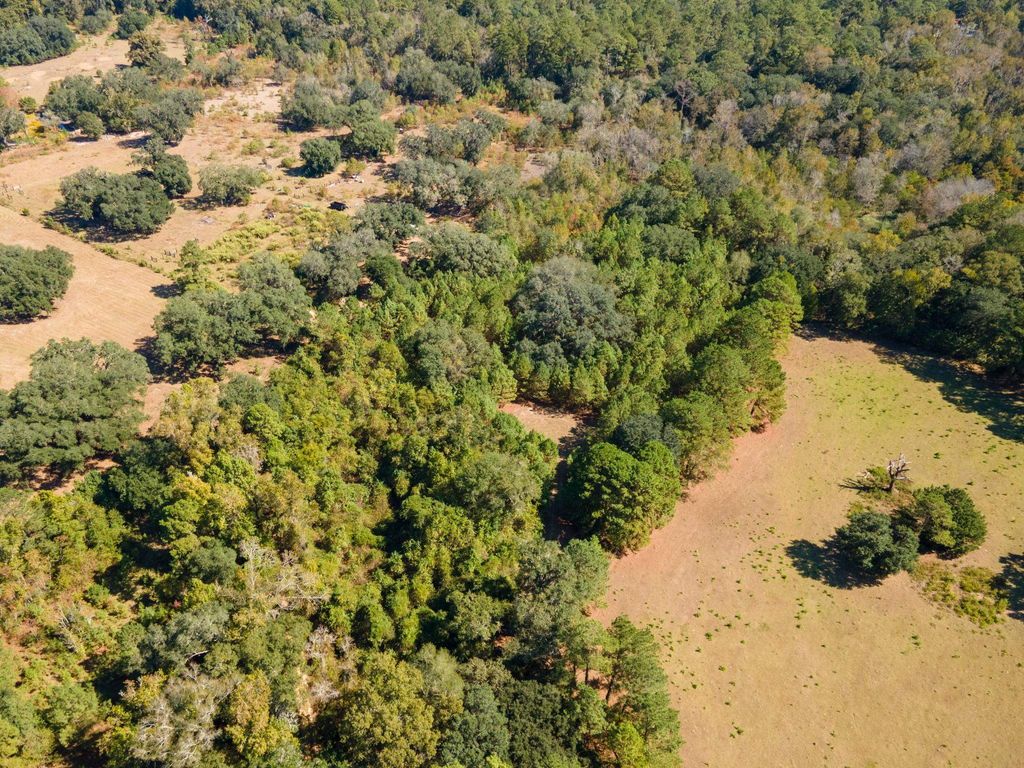 Photo of 0 Gardners Farm Road, Tallahassee, FL 32312 (MLS # 400657)