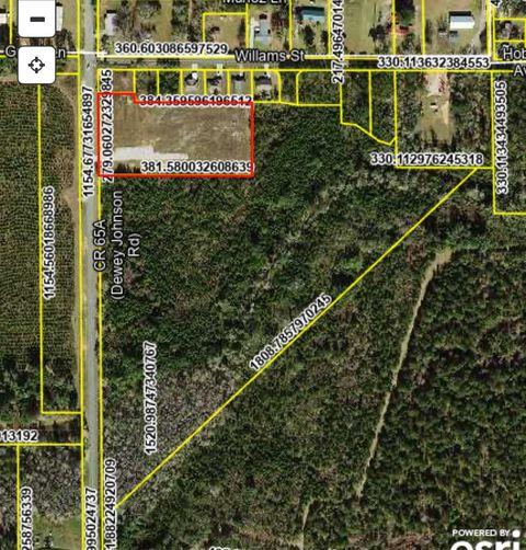 Tiny photo for 360 Dewey Johnson Way Way, Gretna, FL 32332 (MLS # 396849)