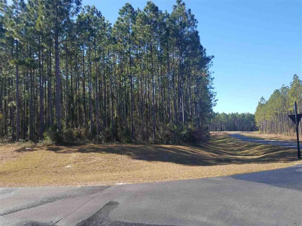 Photo of 6991 Ranch Club Road, Leon, FL 32305 (MLS # 387071)
