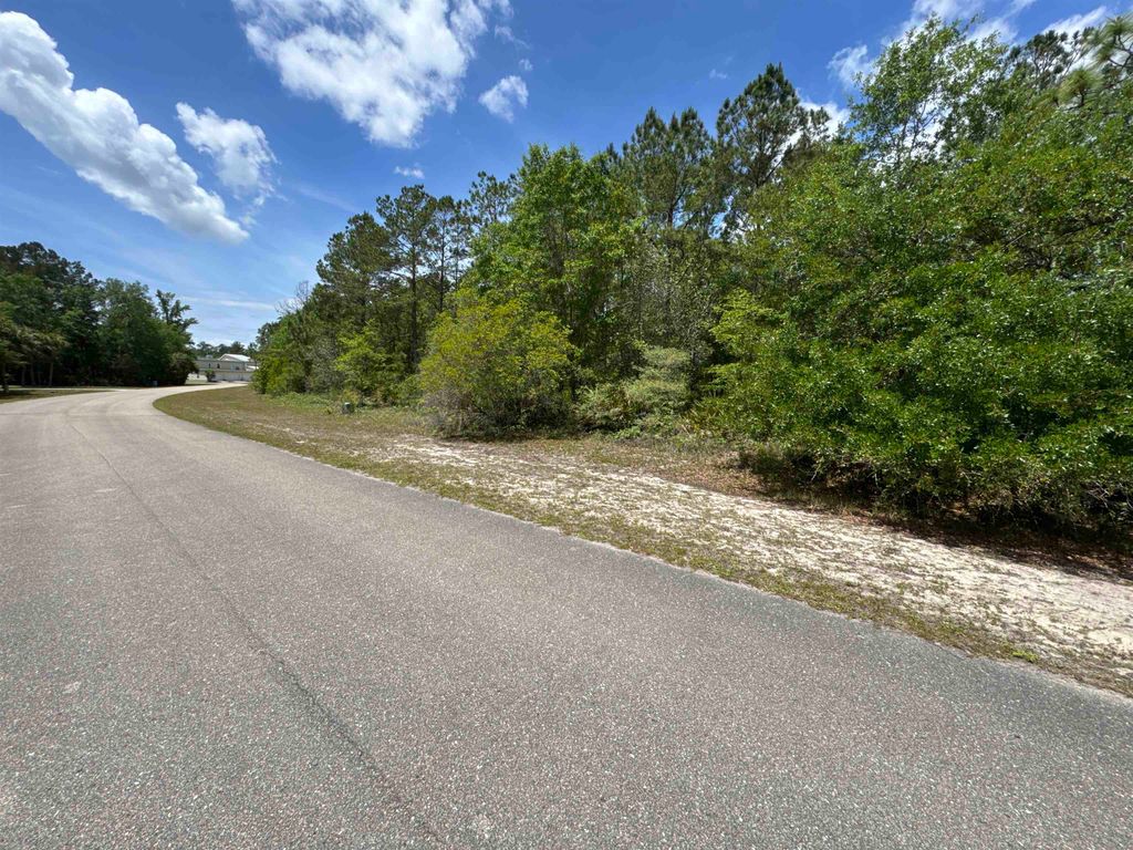 Photo of xxx BOULDER Run, St Marks, FL 32355 (MLS # 399672)