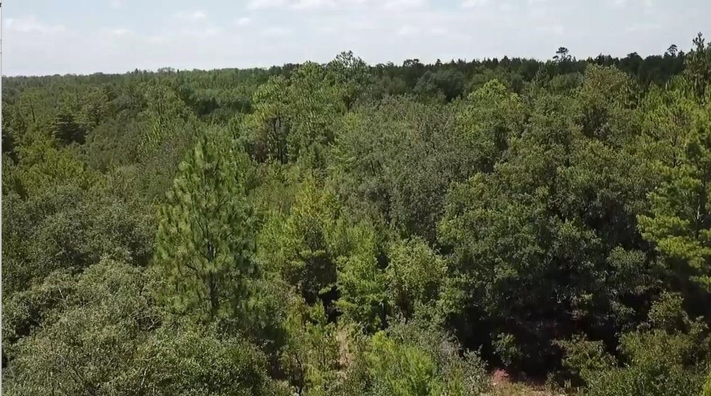 Photo of xx Eastbrook Drive, Chipley, FL 32428 (MLS # 402845)