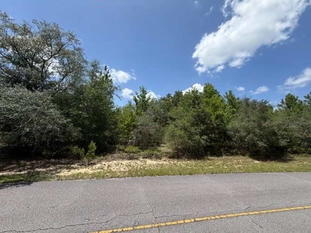 Photo of xx Eastbrook Drive, Chipley, FL 32428 (MLS # 402845)