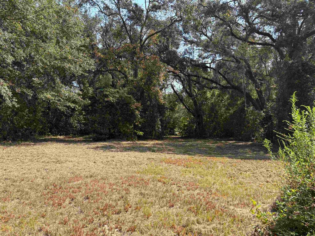 Photo of 1309 Cook Rd. Rd, Monticello, FL 32344 (MLS # 397758)