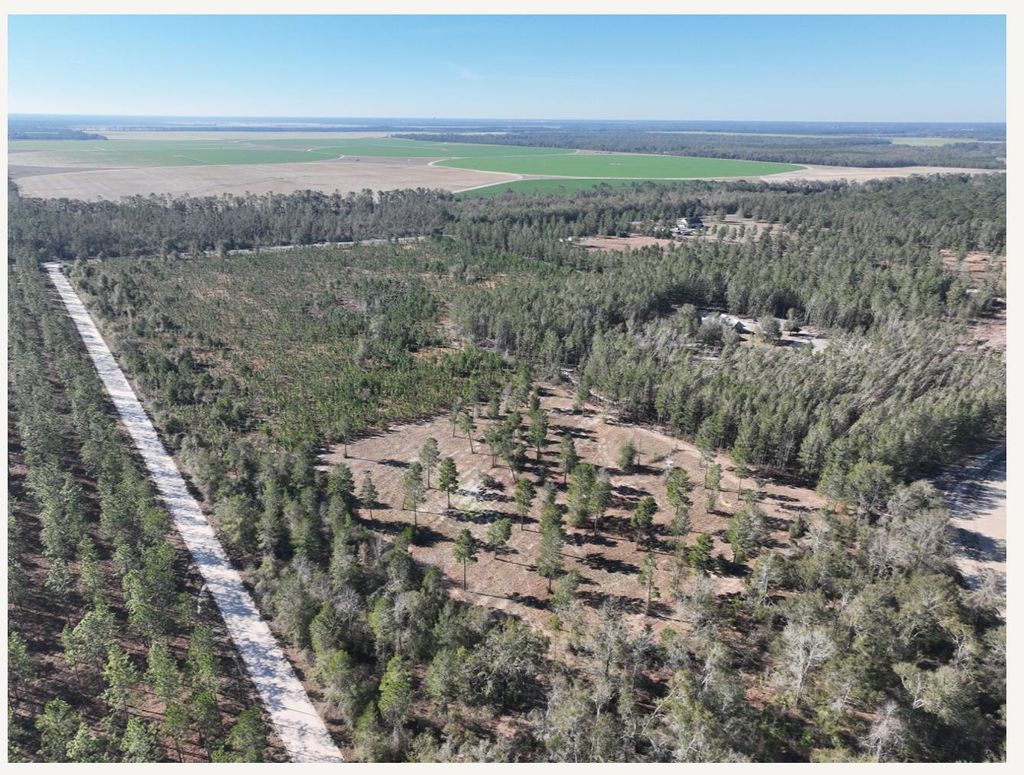 Photo of Vacant NE Mango Avenue, Lee, FL 32059 (MLS # 383296)