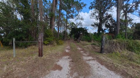 Tiny photo for 1901 Hontoon Road, Other Florida, FL 32720 (MLS # 396736)