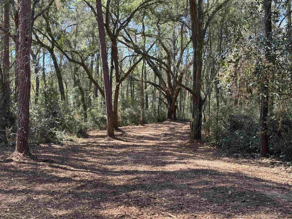 Photo of 241 Old Dirt Road, Tallahassee, FL 32317 (MLS # 397158)