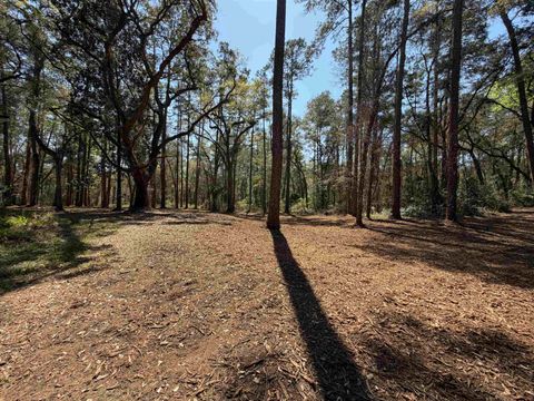 Tiny photo for 241 Old Dirt Road, Tallahassee, FL 32317 (MLS # 397158)