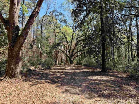 Tiny photo for 241 Old Dirt Road, Tallahassee, FL 32317 (MLS # 397158)