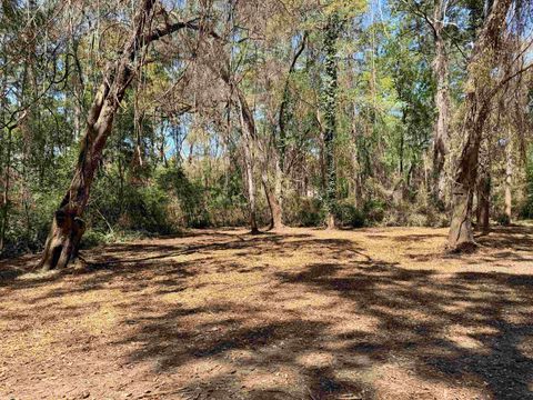 Tiny photo for 241 Old Dirt Road, Tallahassee, FL 32317 (MLS # 397158)