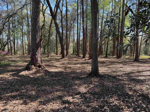 Tiny photo for 241 Old Dirt Road, Tallahassee, FL 32317 (MLS # 397158)