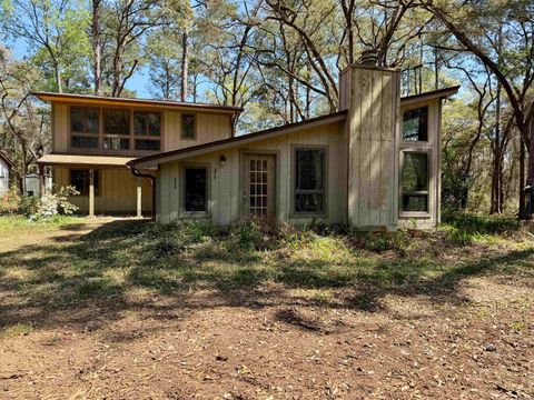 Tiny photo for 241 Old Dirt Road, Tallahassee, FL 32317 (MLS # 397158)