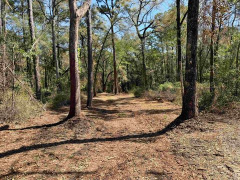 Tiny photo for 241 Old Dirt Road, Tallahassee, FL 32317 (MLS # 397158)