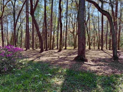 Tiny photo for 241 Old Dirt Road, Tallahassee, FL 32317 (MLS # 397158)