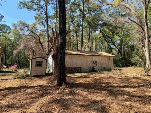 Tiny photo for 241 Old Dirt Road, Tallahassee, FL 32317 (MLS # 397158)