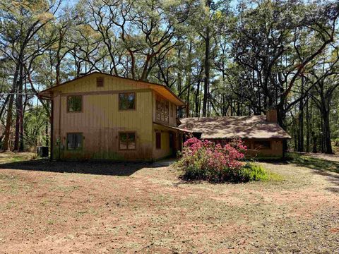 Tiny photo for 241 Old Dirt Road, Tallahassee, FL 32317 (MLS # 397158)