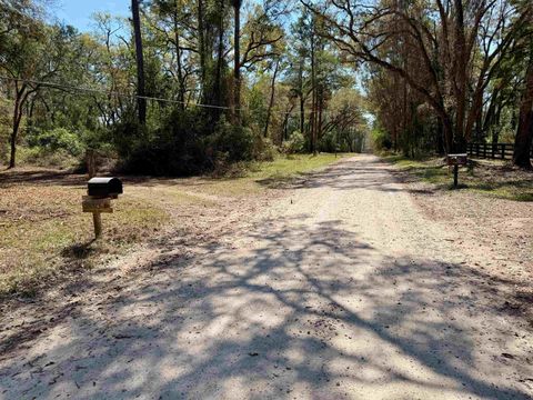 Tiny photo for 241 Old Dirt Road, Tallahassee, FL 32317 (MLS # 397158)