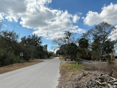 Tiny photo for 9910 Lorrayne Road, Other Florida, FL 33578 (MLS # 396826)