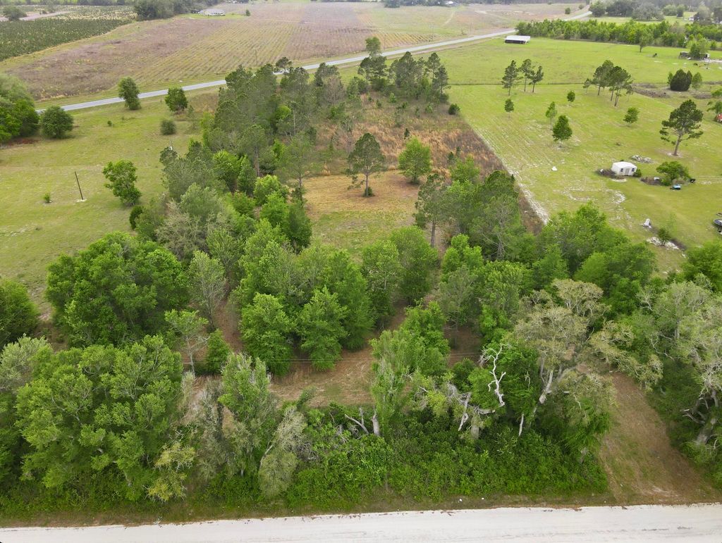 Photo of 000 NE Rowan Road, Mayo, FL 32066 (MLS # 398447)