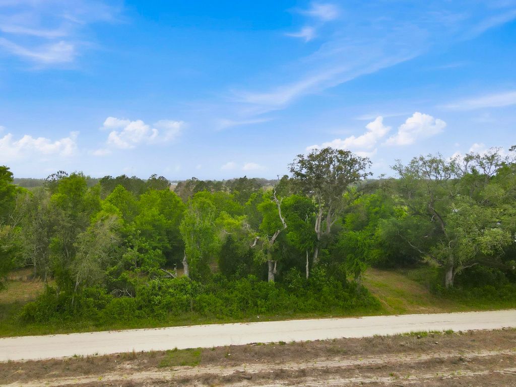 Photo of 000 NE Rowan Road, Mayo, FL 32066 (MLS # 398447)