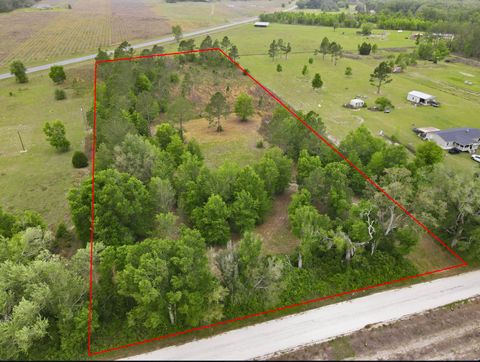 Photo of 000 NE Rowan Road, Mayo, FL 32066 (MLS # 398447)