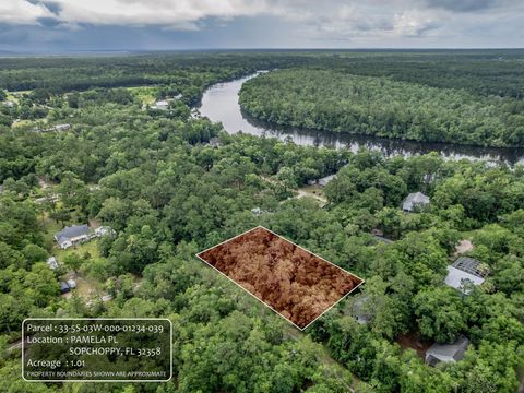 XX Pamela Place Sopchoppy FL 32358