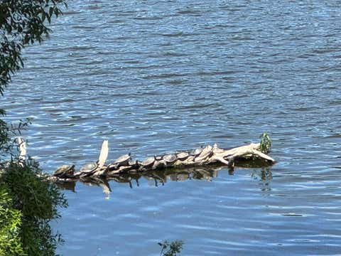 Tiny photo for 1941 COLLINS LANDING Road, Tallahassee, FL 32310 (MLS # 399730)