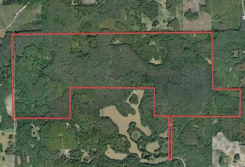 1268 NW White Wing Dove Drive Greenville FL 32331